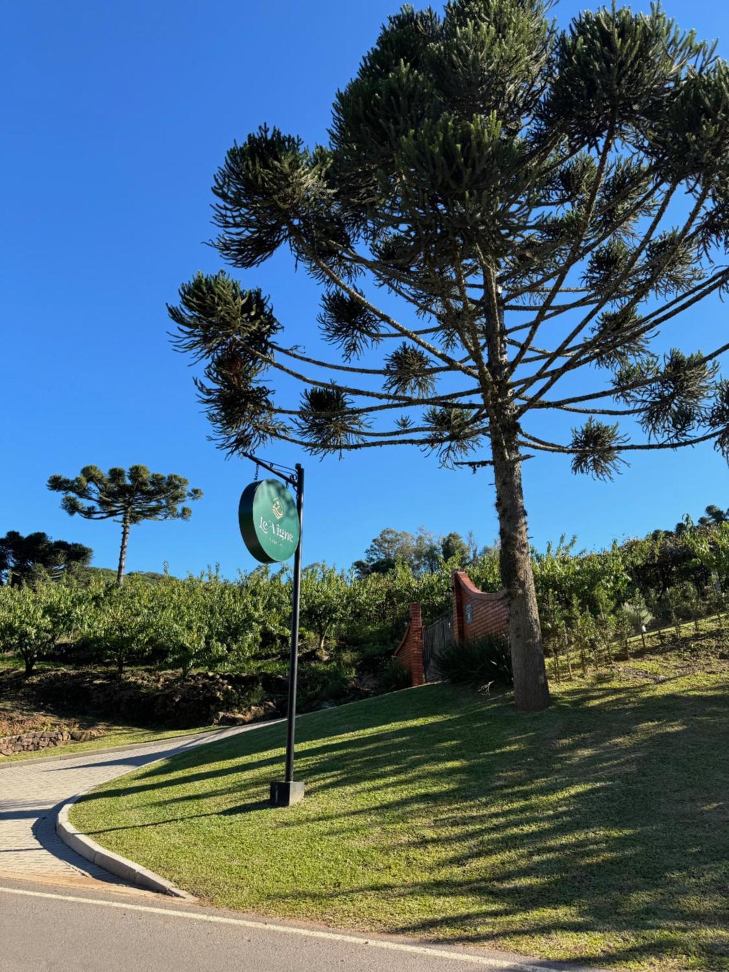 Cabanas Le Vigne Pinto Bandeira Exterior photo